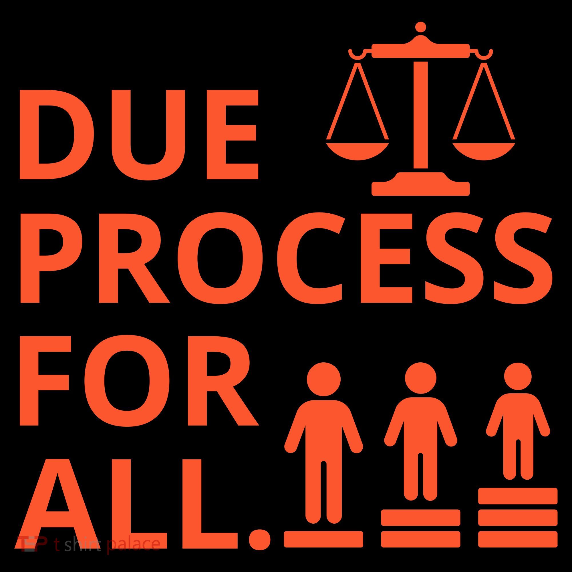 Due Process For All Hoodie