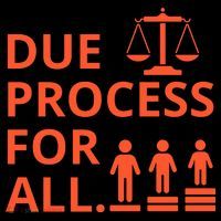 Due Process For All Long Sleeve Shirt thumb 2