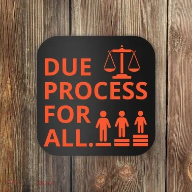 Due Process For All Coaster