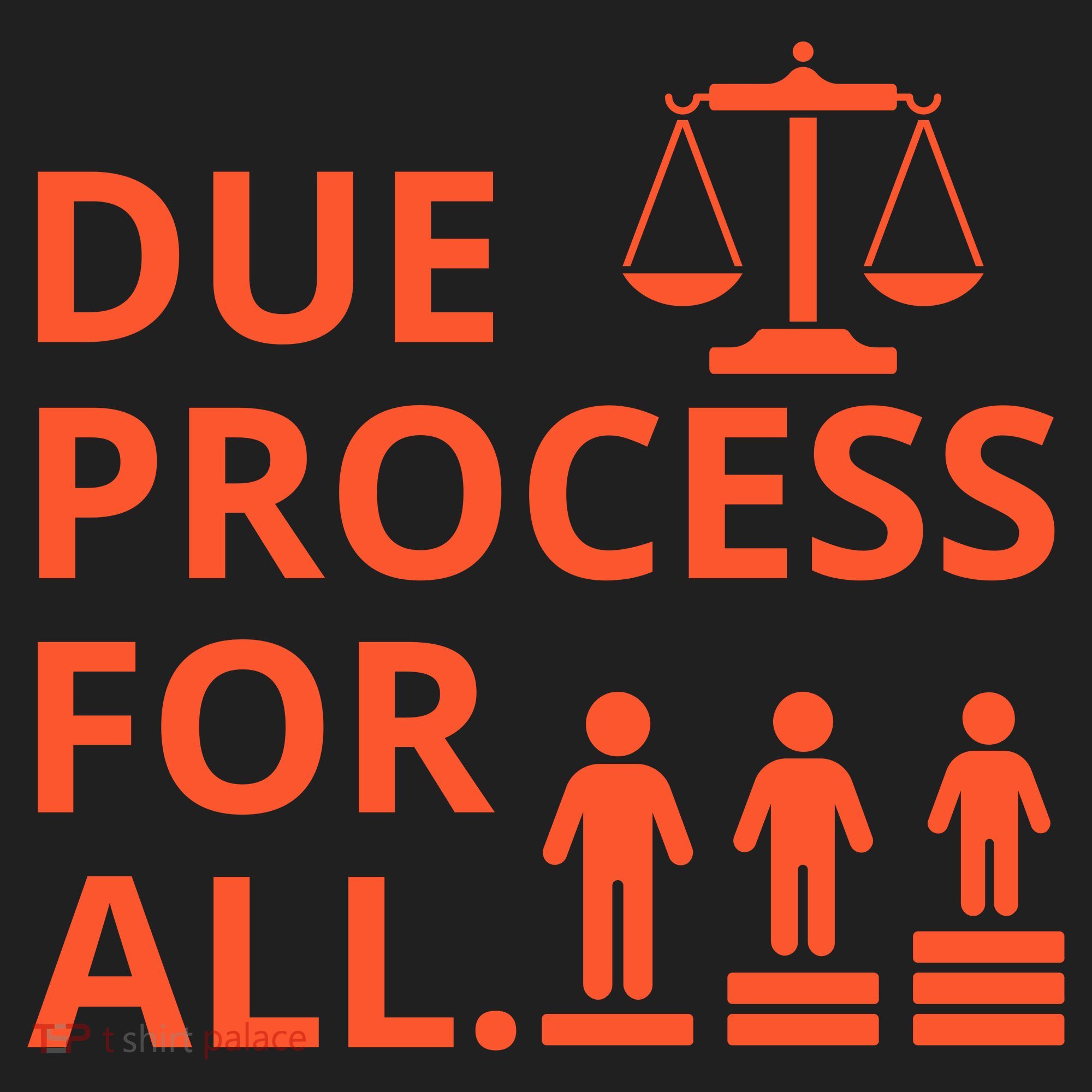 Due Process For All Hat