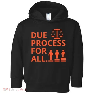 Due Process For All Toddler Hoodie