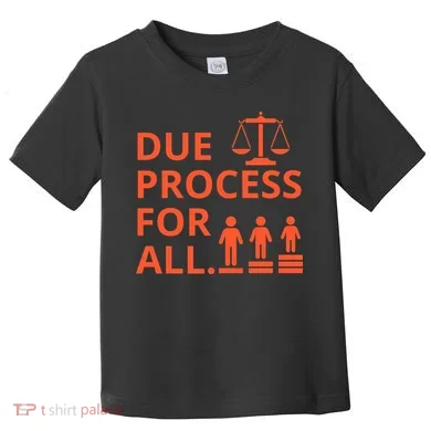 Due Process For All Toddler T-Shirt