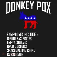 Donkey Pox Funny Symptoms Political Anti Biden Toddler Hoodie thumb 2
