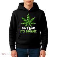 Don't Panic It's Organic Medical Marijuana Kids Hoodie thumb 4