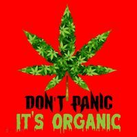 Don't Panic It's Organic Medical Marijuana Santa Hat thumb 1