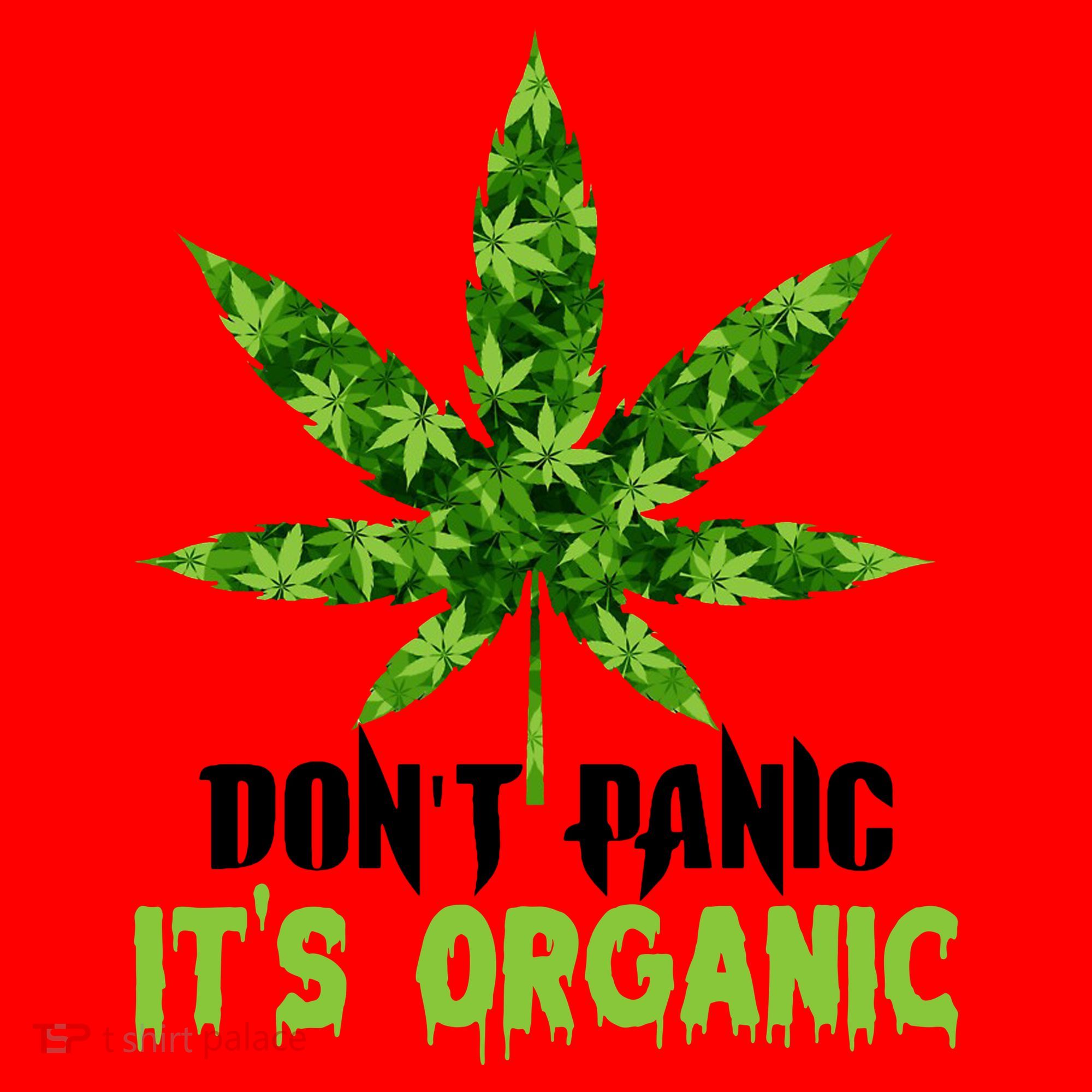 Don't Panic It's Organic Medical Marijuana Santa Hat