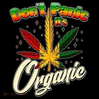 Dont Panic Its Organic Weed Marijuana Kids Colorblock Raglan Jersey