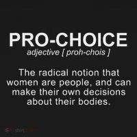 Definition Protect Keep Abortion Legal Hoodie thumb 2