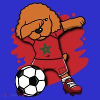 Dabbing Poodle Morocco Soccer Fans Jersey Moroccan Football Funny Gift Long Sleeve Shirt thumb 2
