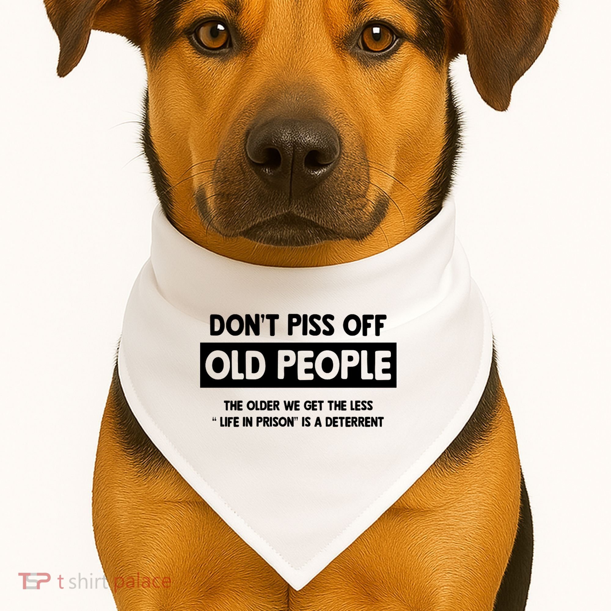 Don't Piss Off Old People Life In Prison USA-Made Doggie Bandana