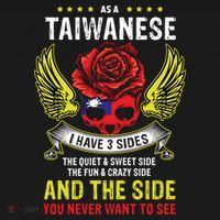 Distressed Patriotic Proud Taiwanese Skull Taiwan Flag Wings Cool Gift Women's Hoodie thumb 2