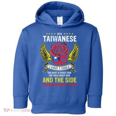 Distressed Patriotic Proud Taiwanese Skull Taiwan Flag Wings Cool Gift Toddler Hoodie
