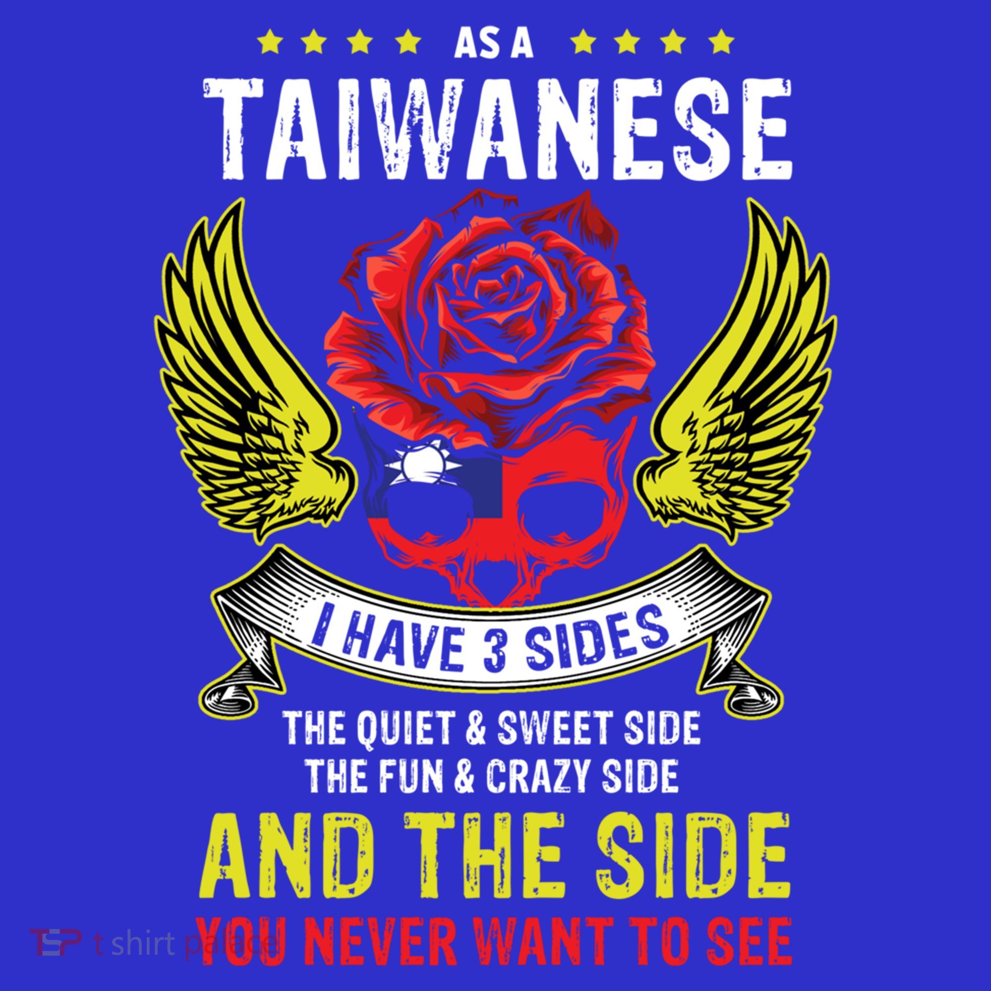 Distressed Patriotic Proud Taiwanese Skull Taiwan Flag Wings Cool Gift Toddler Hoodie