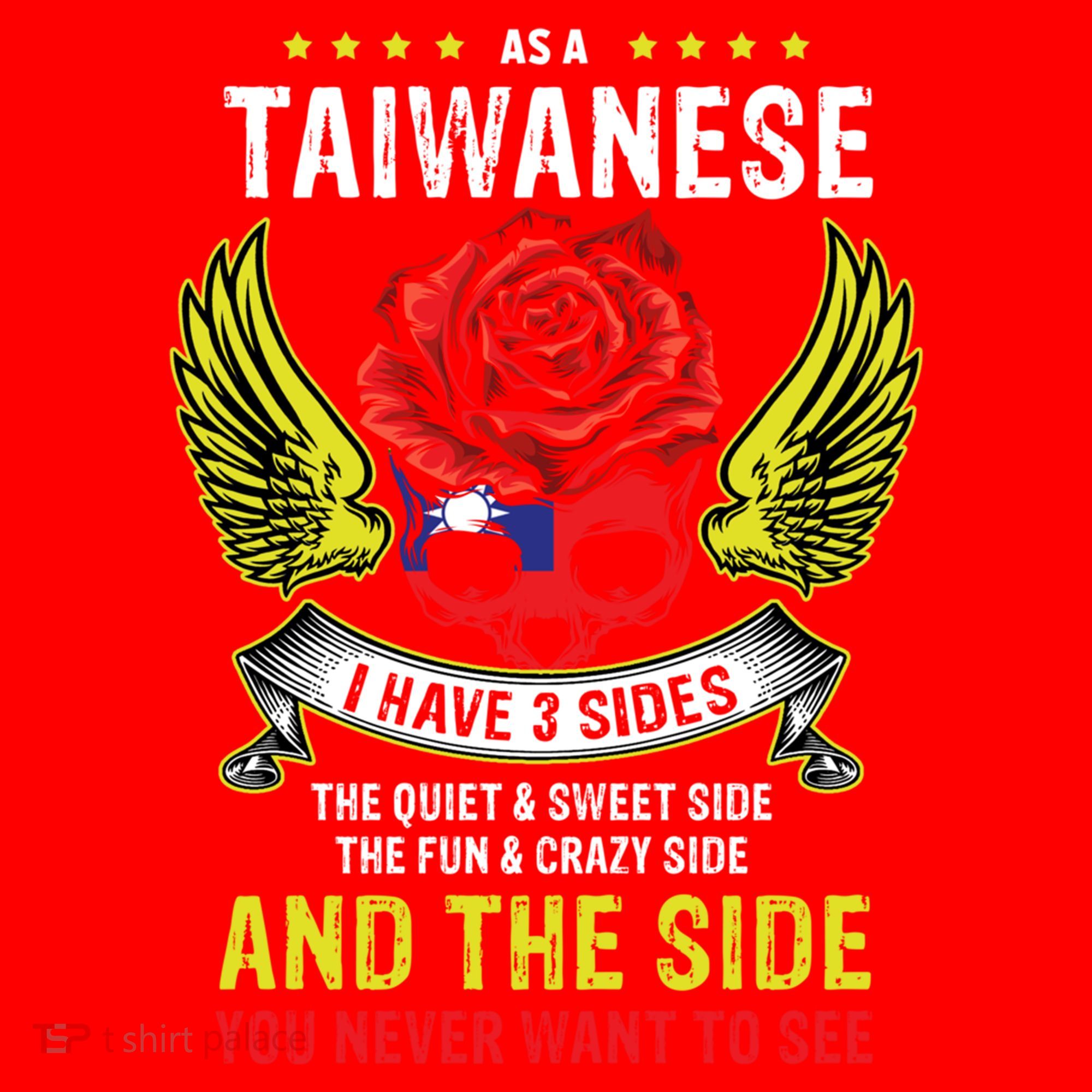 Distressed Patriotic Proud Taiwanese Skull Taiwan Flag Wings Cool Gift Santa Hat