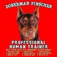 Doberman Pinscher Red Professional Human Trainer Cute Dog Santa Hat thumb 1