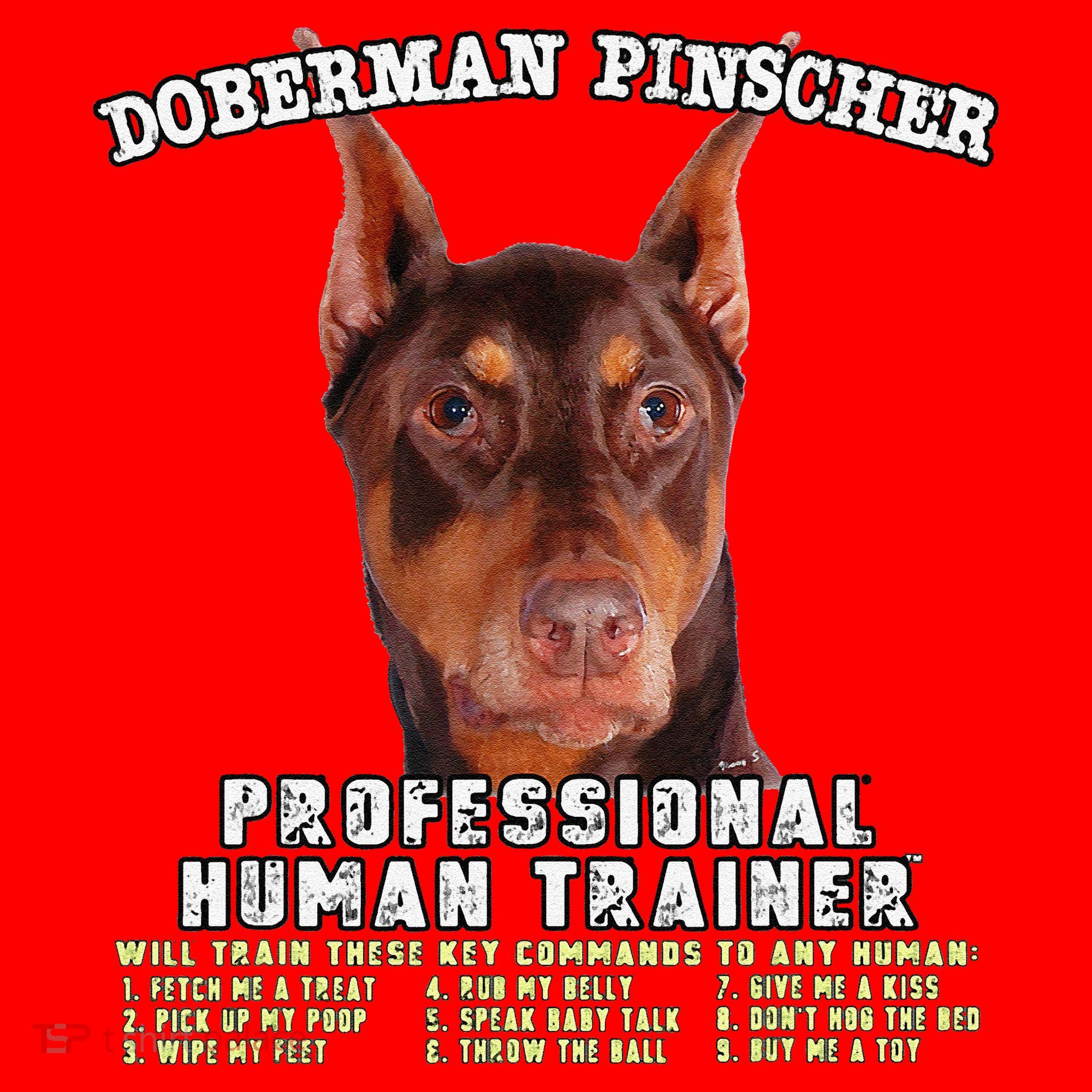 Doberman Pinscher Red Professional Human Trainer Cute Dog Santa Hat