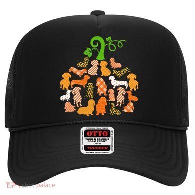 Dachshund Pumpkin Shape Plaid Leopard Dog Autumn Halloween Hat