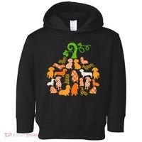 Dachshund Pumpkin Shape Plaid Leopard Dog Autumn Halloween Toddler Hoodie thumb 0