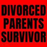 Divorced Parents Survivor Son Daughter Of Divorced Parents Santa Hat thumb 1