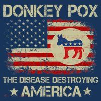 Donkey Pox The Disease Destroying America Funny Anti Biden Women's Hoodie thumb 2