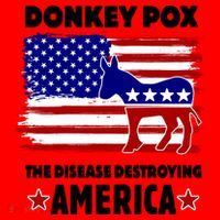 Donkey Pox The Real Problem Destroying America USA Funny Santa Hat thumb 1