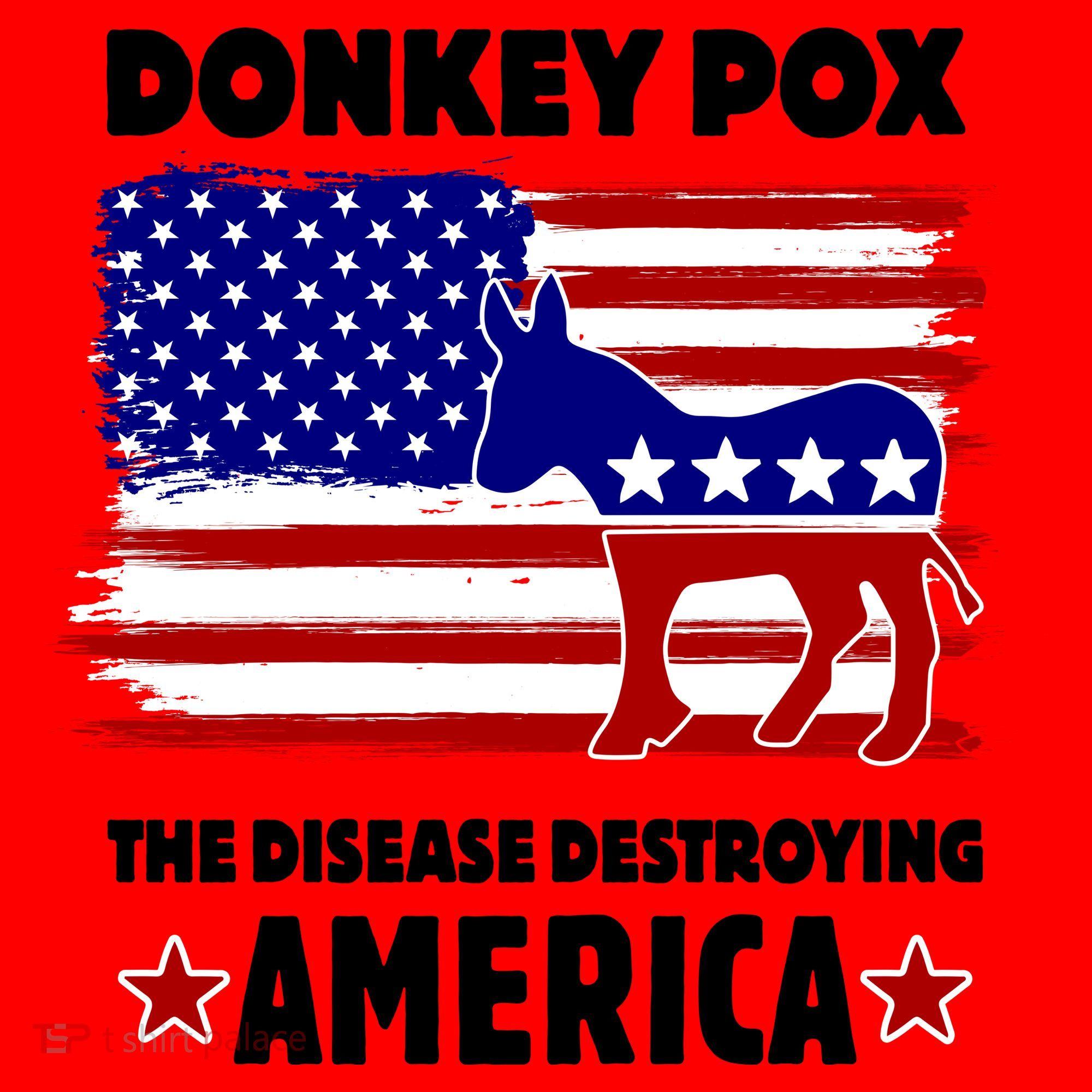 Donkey Pox The Real Problem Destroying America USA Funny Santa Hat
