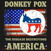 Donkey Pox The Disease Destroying America USA Flag Donkeypox Women's Hoodie thumb 2
