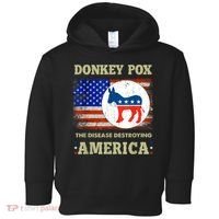 Donkey Pox The Disease Destroying America USA Flag Donkeypox Toddler Hoodie thumb 0