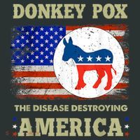 Donkey Pox The Disease Destroying America USA Flag Donkeypox Hoodie thumb 2