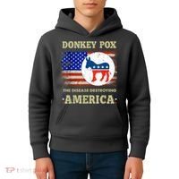 Donkey Pox The Disease Destroying America USA Flag Donkeypox Kids Hoodie thumb 4