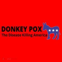 Donkey Pox The Disease Killing America Funny Santa Hat thumb 1