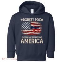 Donkey Pox The Disease Destroying America Funny Donkeypox Amrica Flag Toddler Hoodie thumb 0
