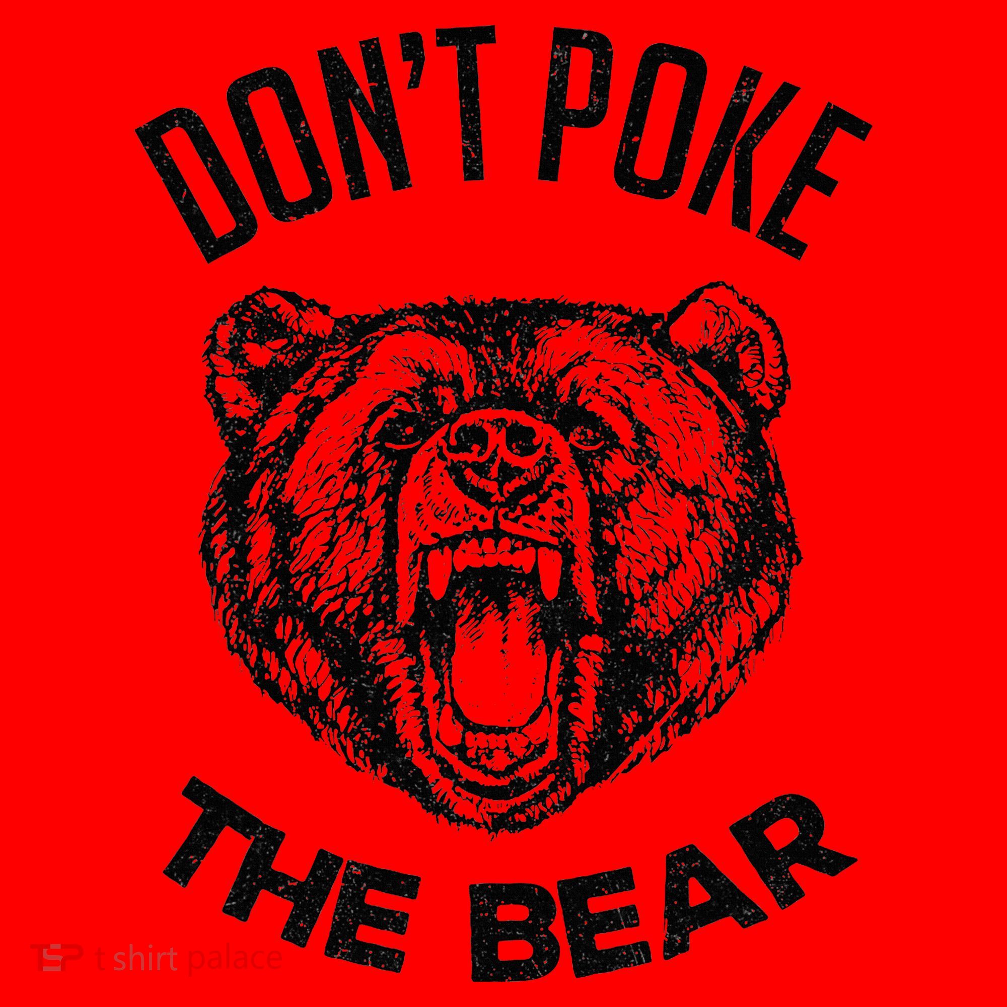 DonT Poke The Bear Funny Bear Spirit Animal Lover Gift Santa Hat