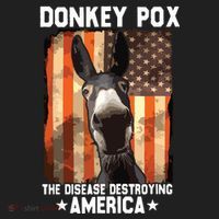 Donkey Pox The Disease Destroying America Donkeypox Funny Beanie thumb 2