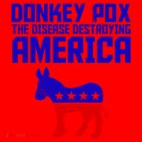 Donkey Pox The Disease Destroying America Anti Biden Santa Hat thumb 1