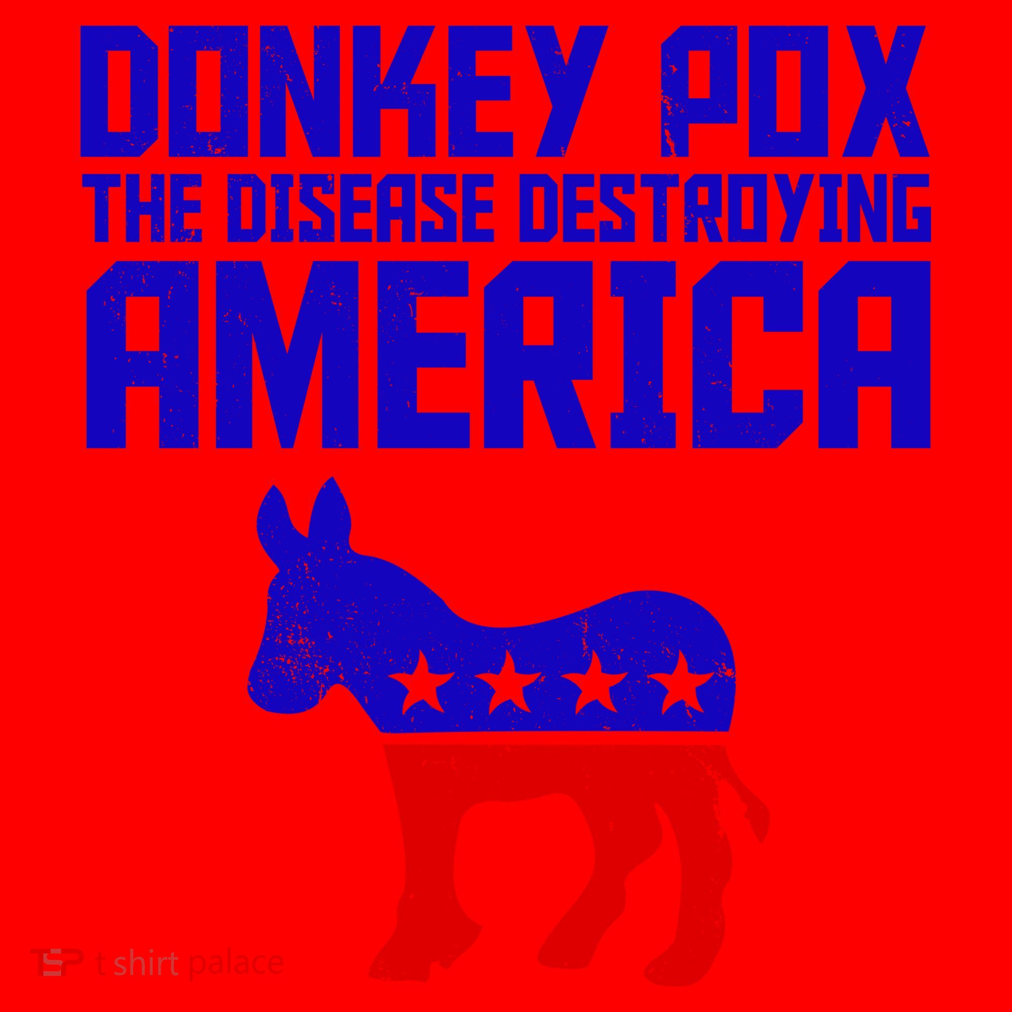 Donkey Pox The Disease Destroying America Anti Biden Santa Hat