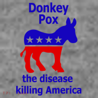 Donkey Pox The Disease Killing America Anti Liberal Women's Hoodie thumb 2