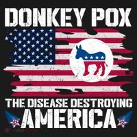 Donkey Pox The Disease Destroying America Funny Anti Biden Women's T-Shirt thumb 6