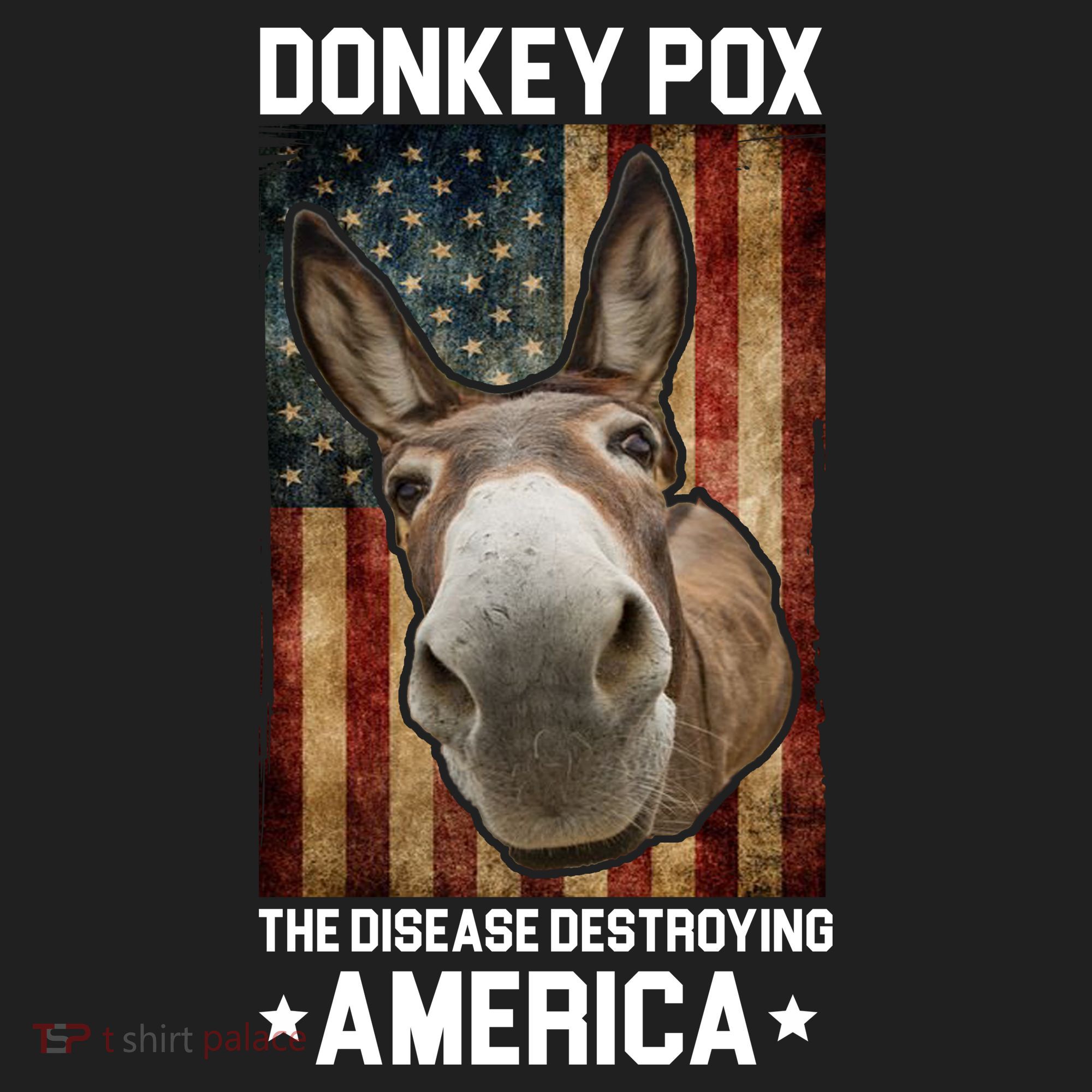 Donkey Pox The Disease Destroying America Funny Hat