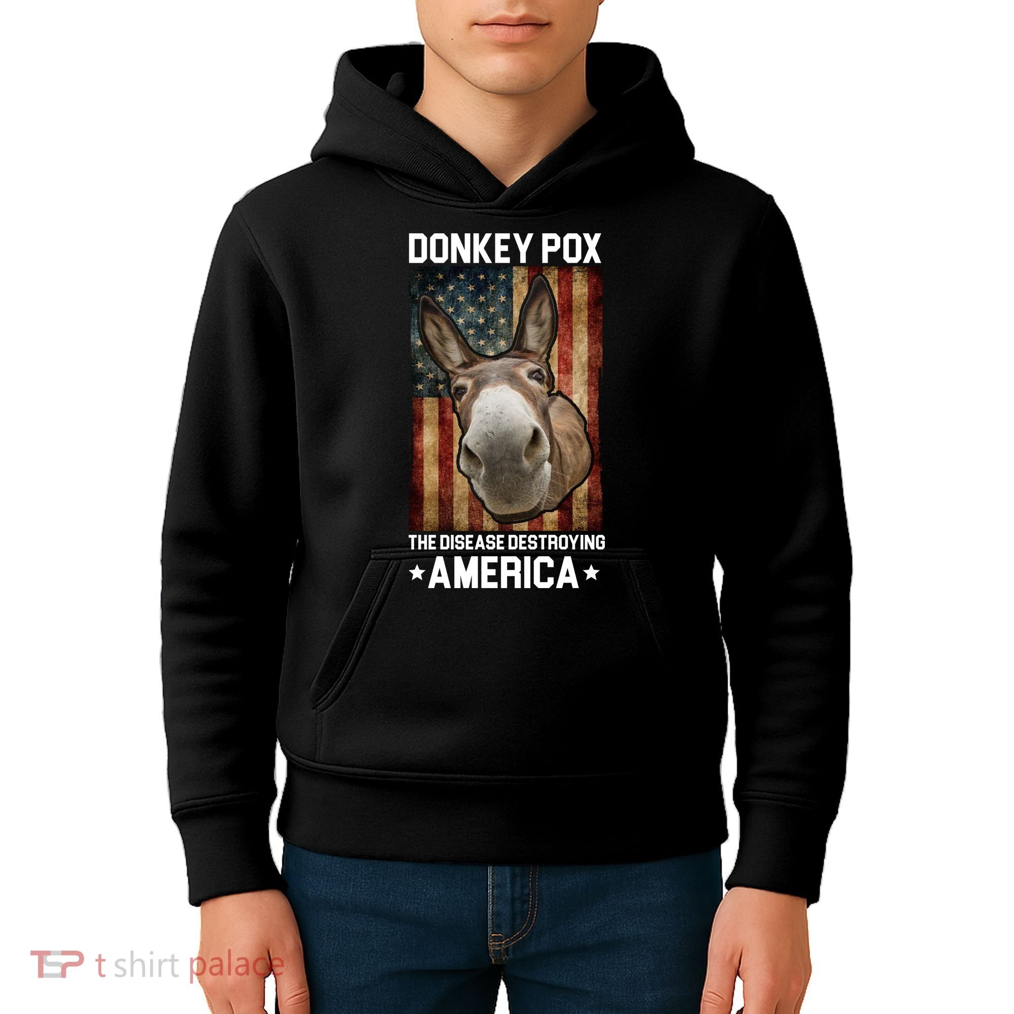 Donkey Pox The Disease Destroying America Funny Kids Hoodie