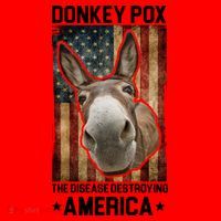 Donkey Pox The Disease Destroying America Funny Santa Hat thumb 1
