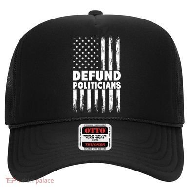 Defund Politicians USA Flag Hat