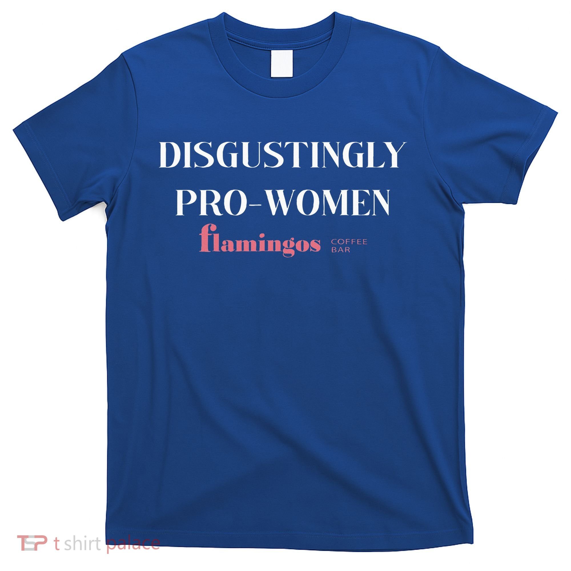 Disgustingly Pro Women T-Shirt