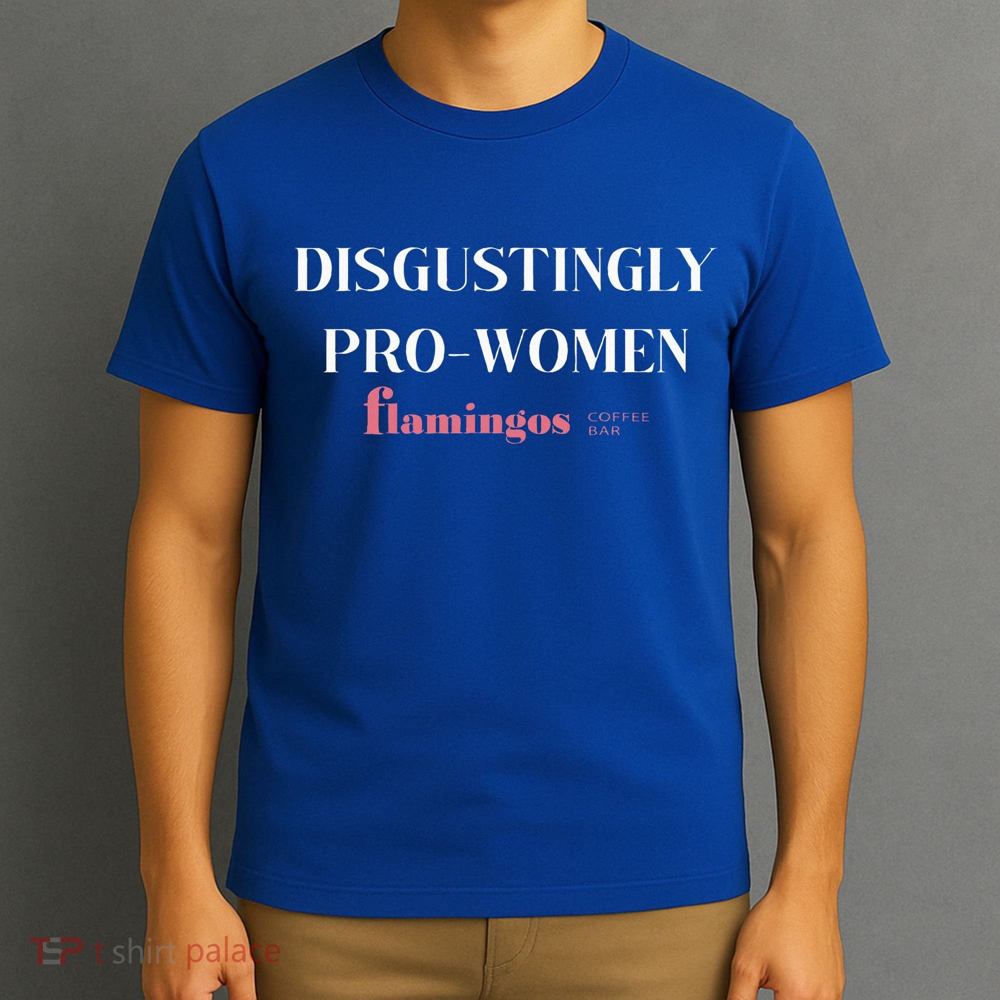 Disgustingly Pro Women T-Shirt