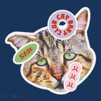 Drama Queen Sad Cat Funny & Ugly Cute Women's Tank Top thumb 5