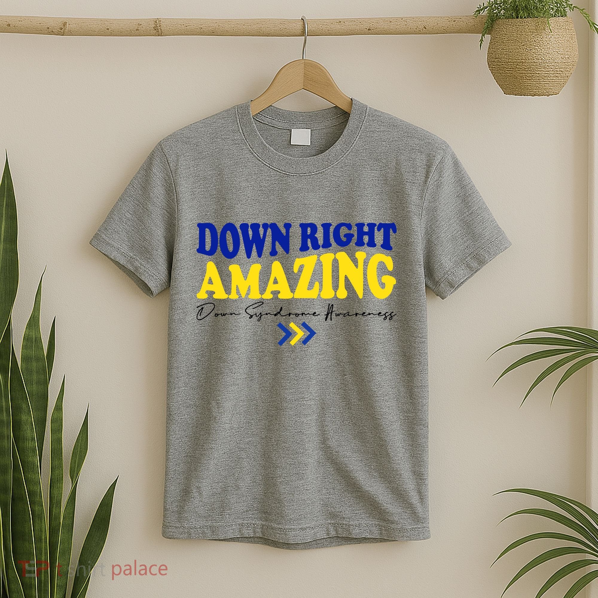 Down Right Amazing Down Syndrome Awareness T-Shirt