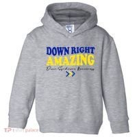 Down Right Amazing Down Syndrome Awareness Toddler Hoodie thumb 0