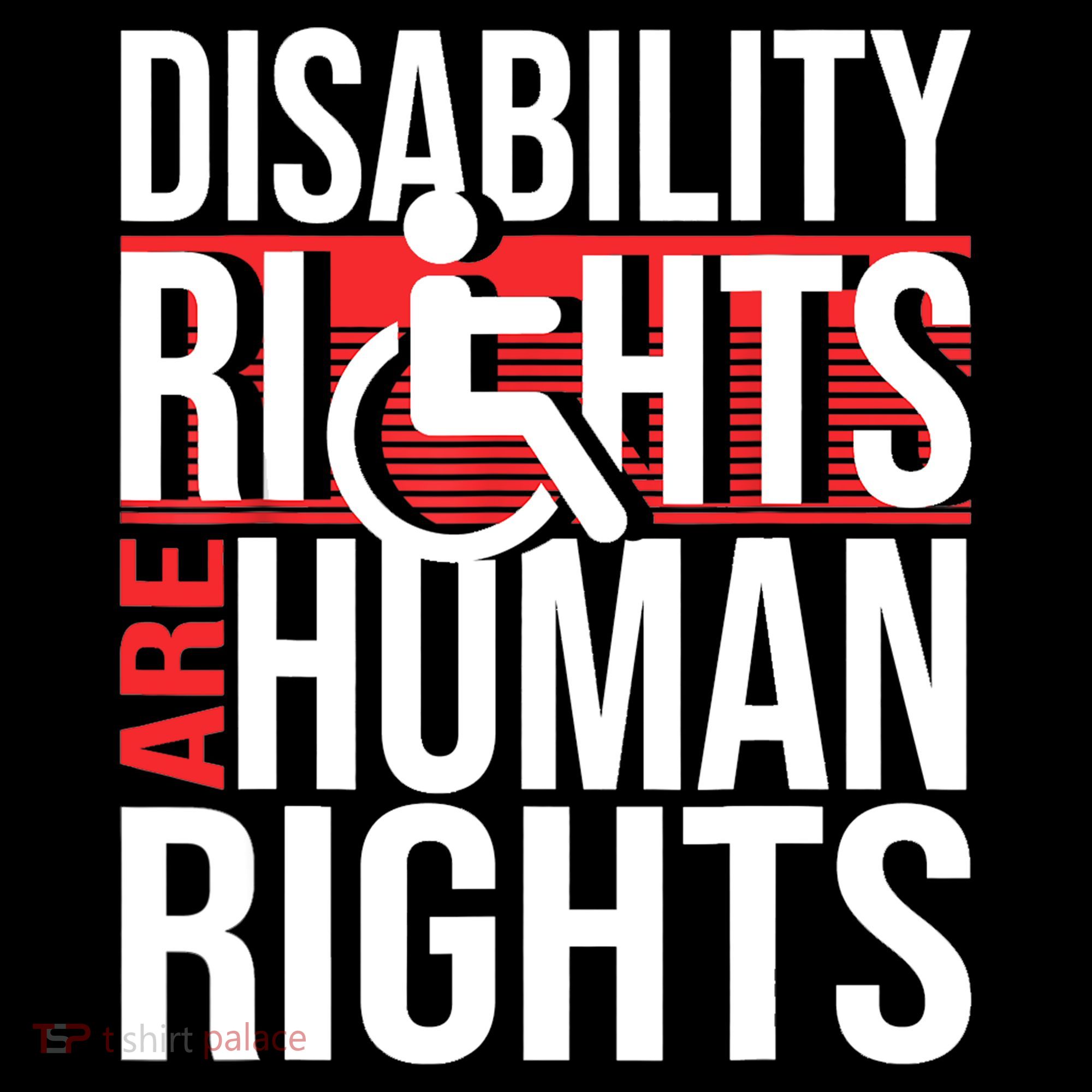 Disability Rights Are Human Rights Gift Funny Wheelchair Handicap Gift Coffee Mug
