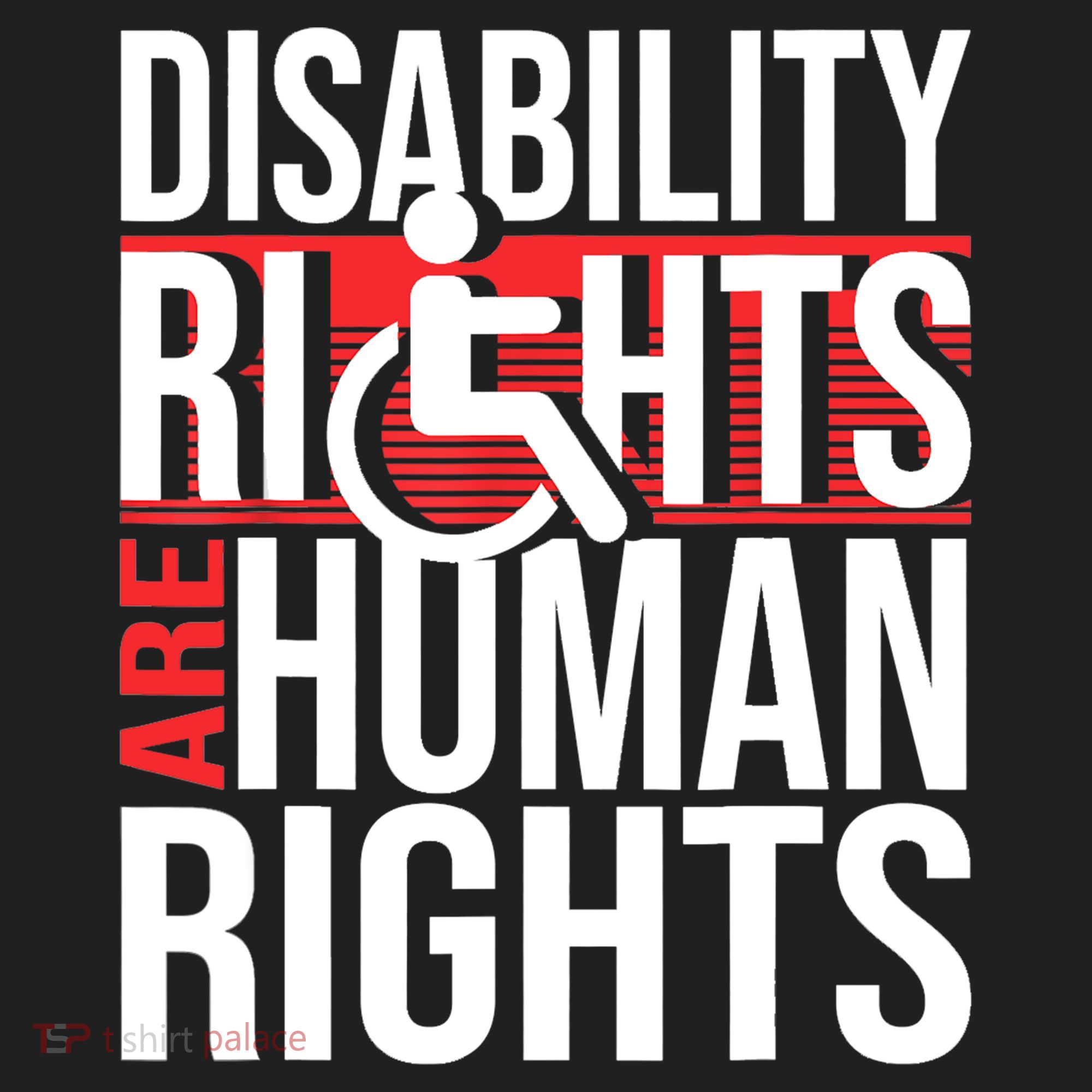 Disability Rights Are Human Rights Gift Funny Wheelchair Handicap Gift Beanie