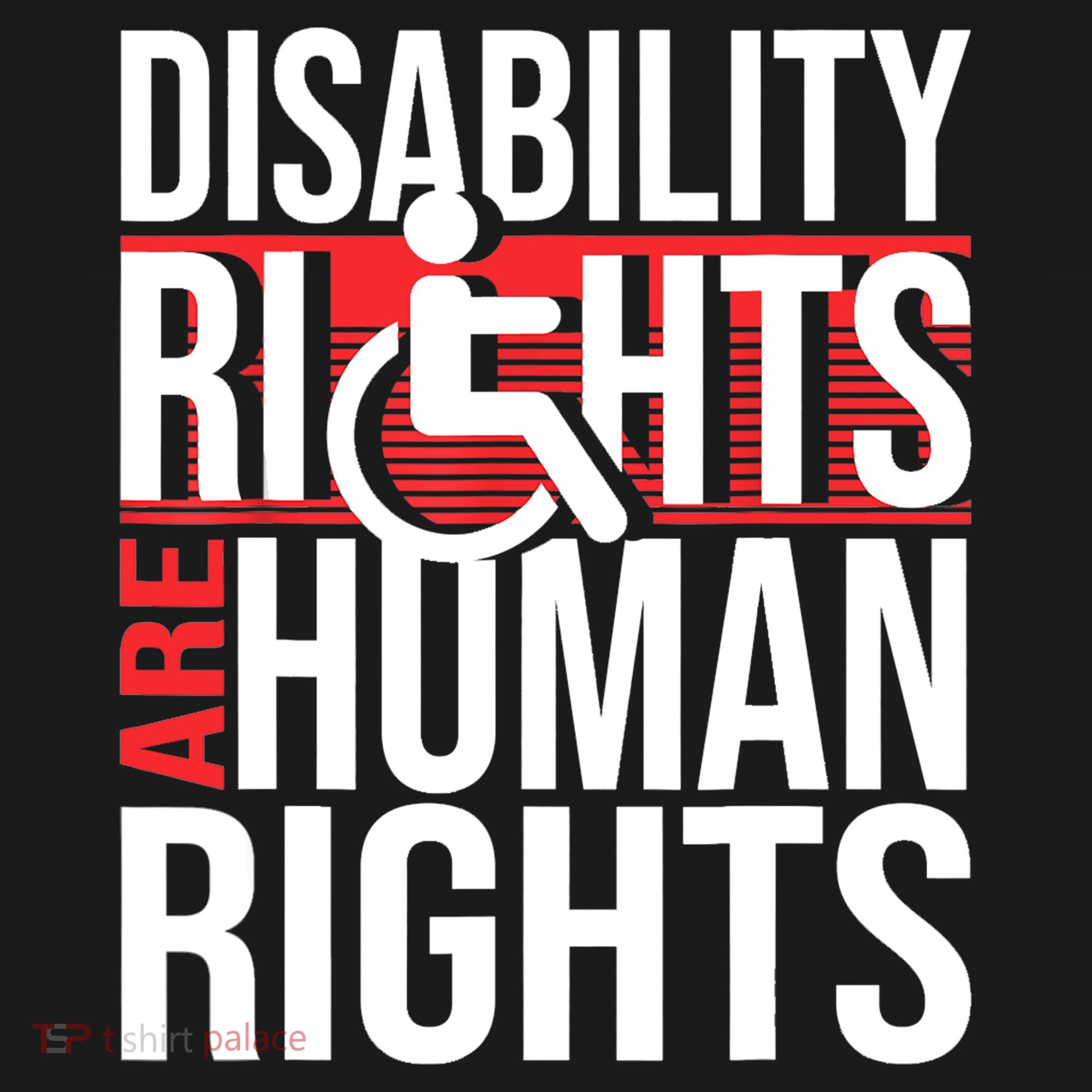 Disability Rights Are Human Rights Gift Funny Wheelchair Handicap Gift Women's Hoodie
